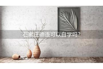 廣州德語(yǔ)可以自學(xué)嗎？