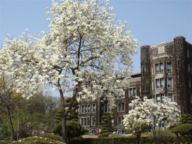 以三所大學(xué)為例，來了解一下韓國(guó)大學(xué)的心理學(xué)專業(yè)！