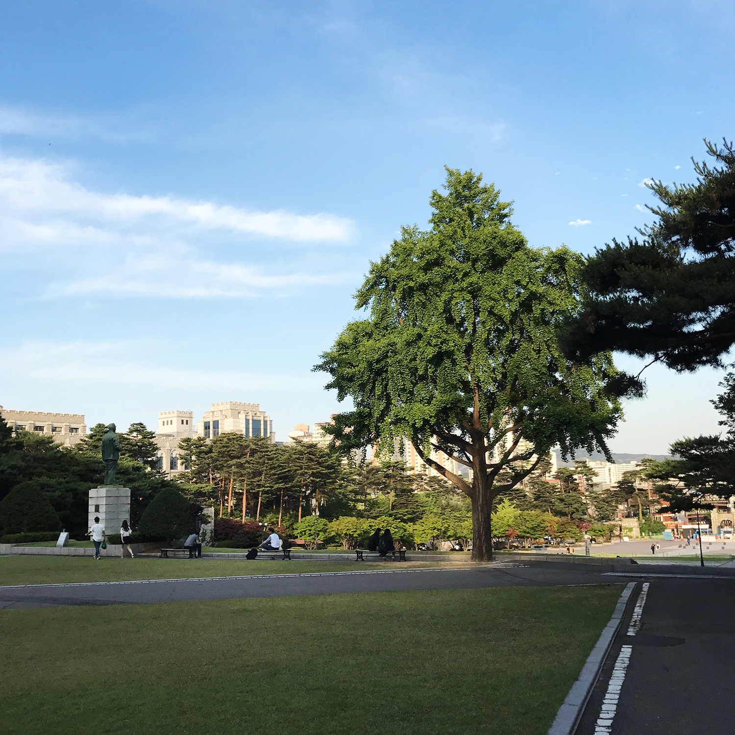 韓國留學  韓國的大學院分為哪3類？