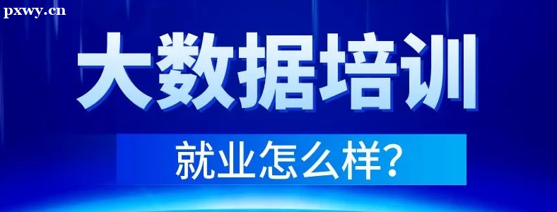 學大數(shù)據(jù)就業(yè)怎么樣？月薪多少？