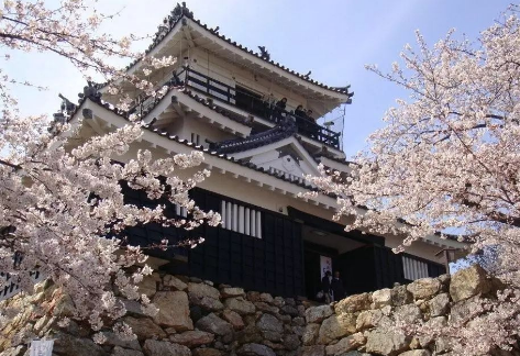 日本出國留學(xué)國際關(guān)系學(xué)報名詳細介紹