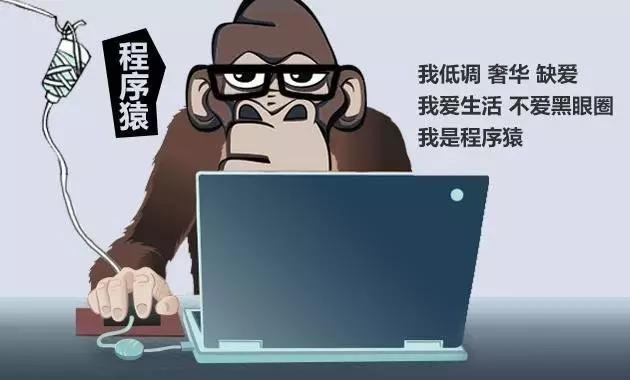《達(dá)內(nèi)教育》程序員，你被內(nèi)卷了嗎？
