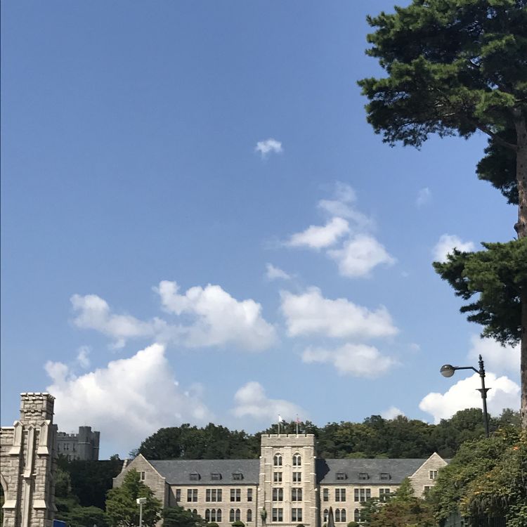 重磅！2021QS世界大學(xué)學(xué)科排名公布，有你mark的專業(yè)嗎？