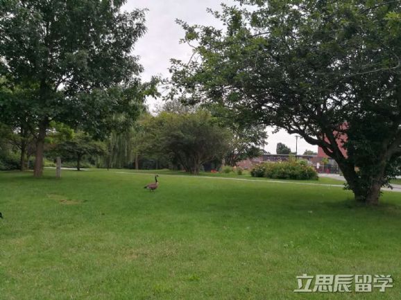 留德不能按時畢業(yè)怎么辦？！有什么后果？！
