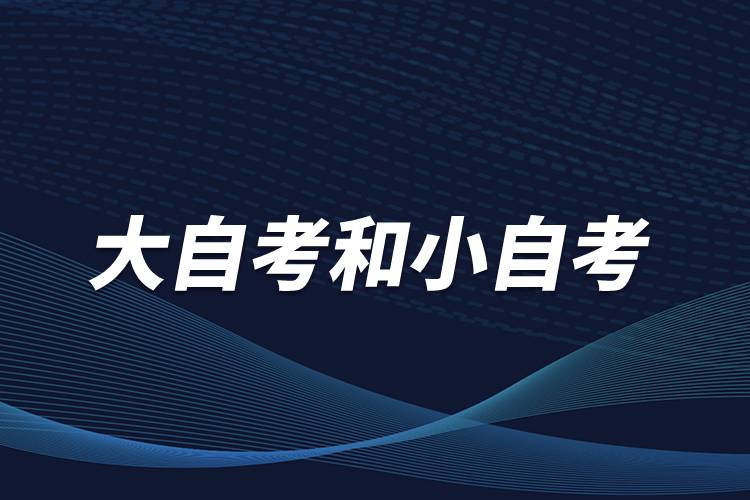 大自考和小自考是什么意思？有什么區(qū)別？