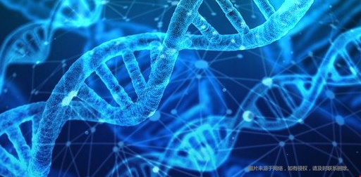 美國哪些學(xué)校有生物統(tǒng)計碩士？